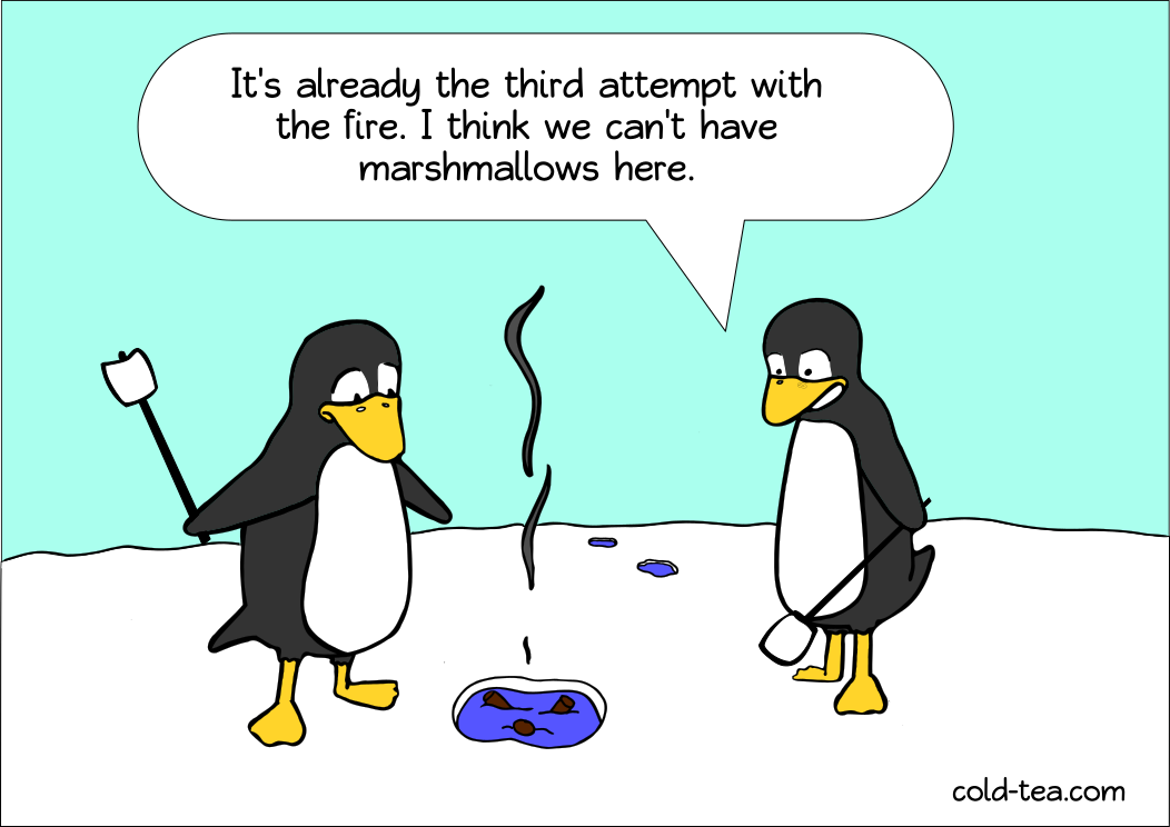 penguins and bonfires