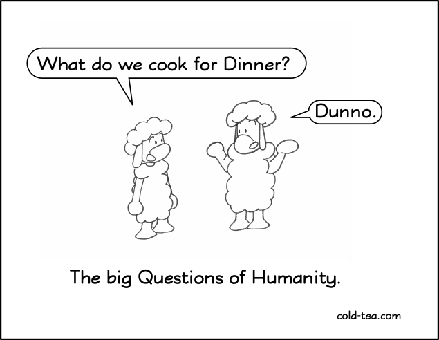the big questions of humanity