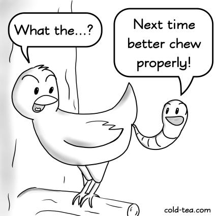 The early bird catches the worm