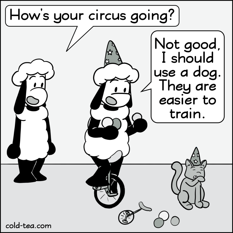 circus